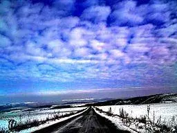 Auto Transport Tips: Shipping by the Season