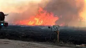 Wildfires Ravage Midwest, Texas Auto Shipping Services