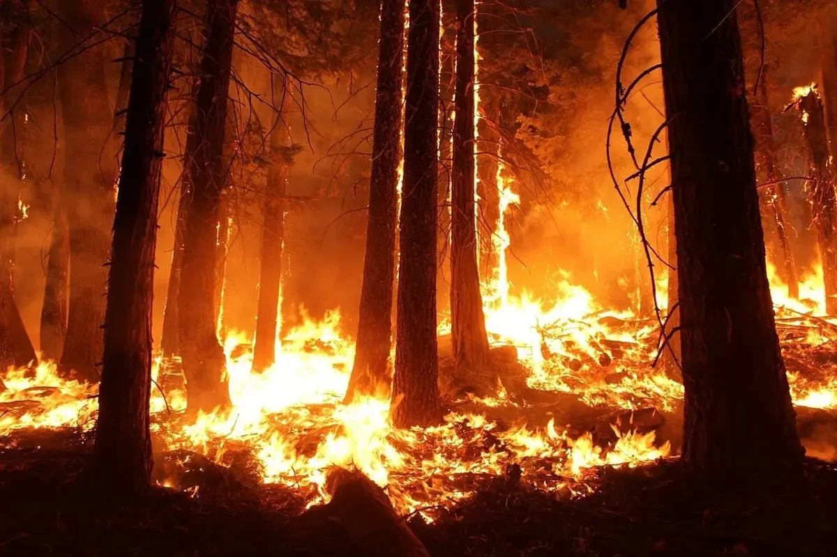 Wildfires Threaten Sacramento Car Transport Services