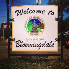 Car Shipping to Bloomingdale, GA